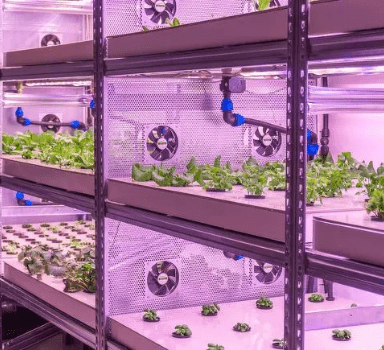 Indoor Vertical Farming lightbars