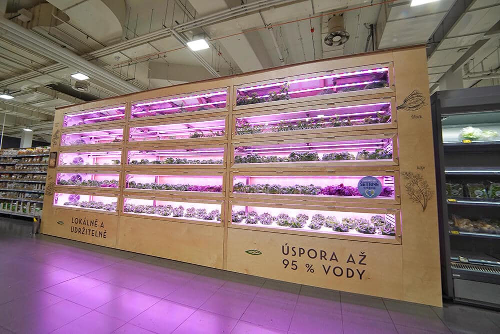 Food Autonomy teamed up with GreeenTech to help set up remotely controlled urban farms