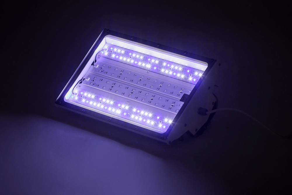 Food Autonomy’s LEDs are helping Grinsect make insect farming more effective