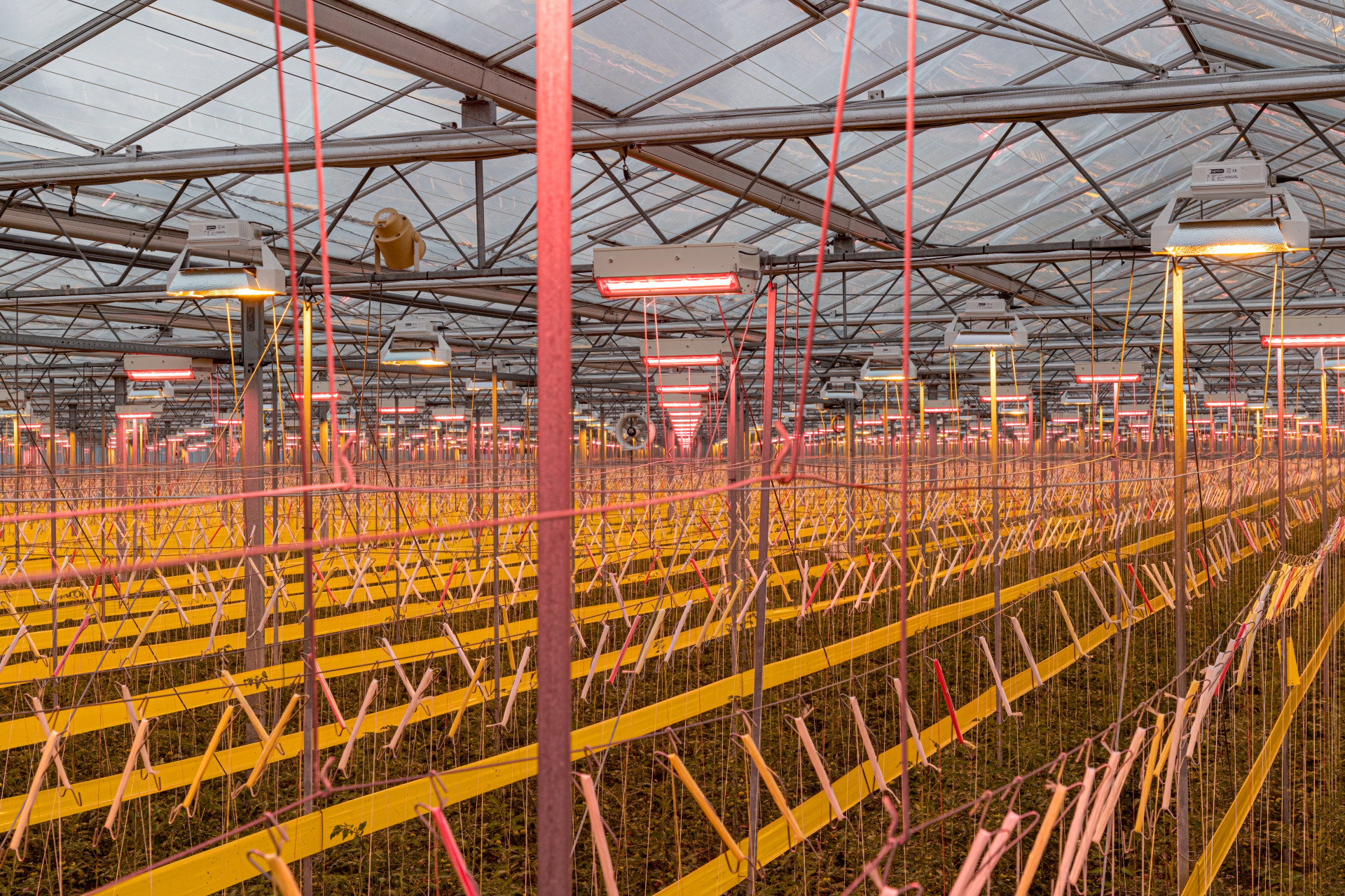 Dutch tomato giant Lans Group reduces energy costs by installing LEDFan toplights on 27 hectares